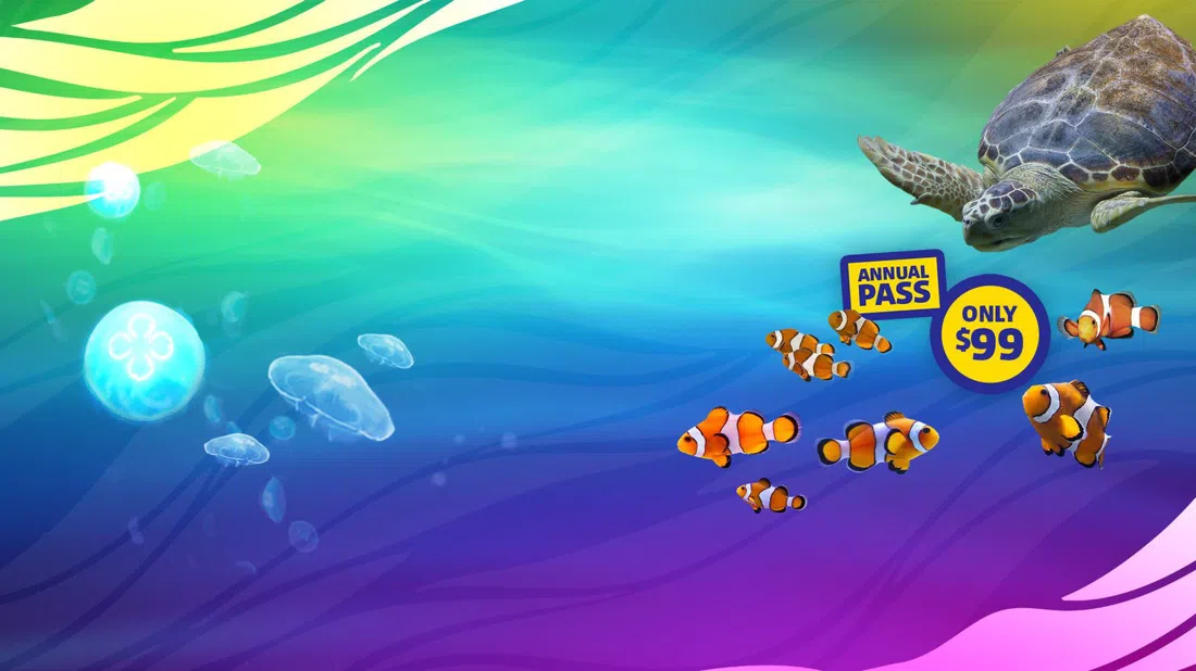 SEA LIFE 켈리 탈튼 수족관, 오클랜드
