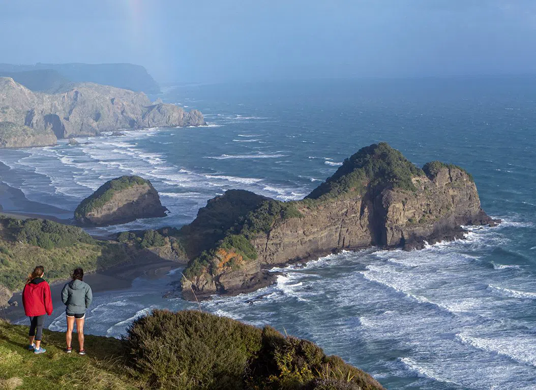 Te Henga Walkway, Auckland