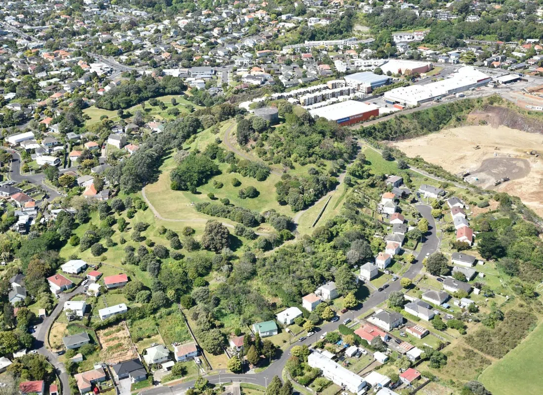 Te Tātua-a-Riukiuta / Big King, Auckland