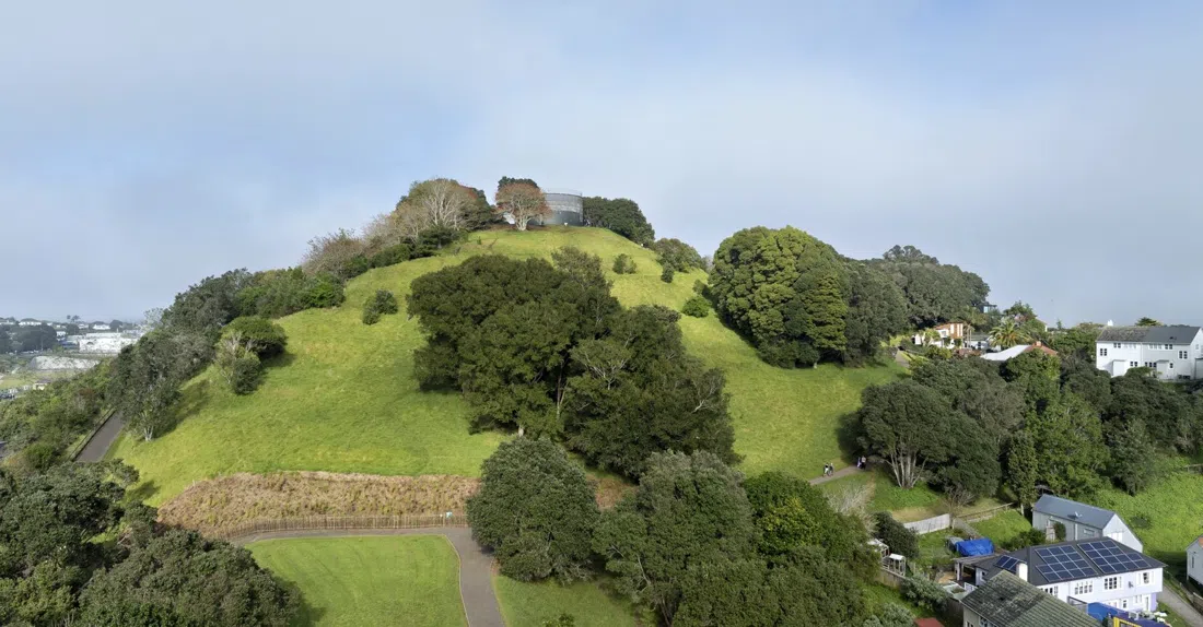 Te Tātua-a-Riukiuta / Big King, Auckland