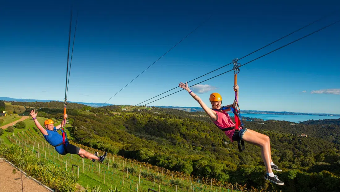 EcoZip Adventures, Auckland