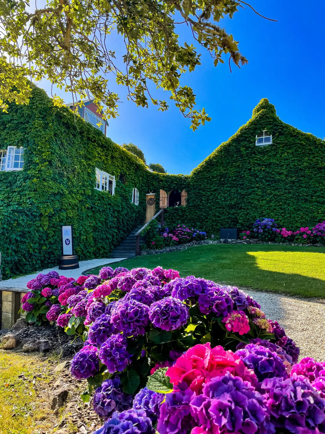 Stonyridge Vineyard, Auckland