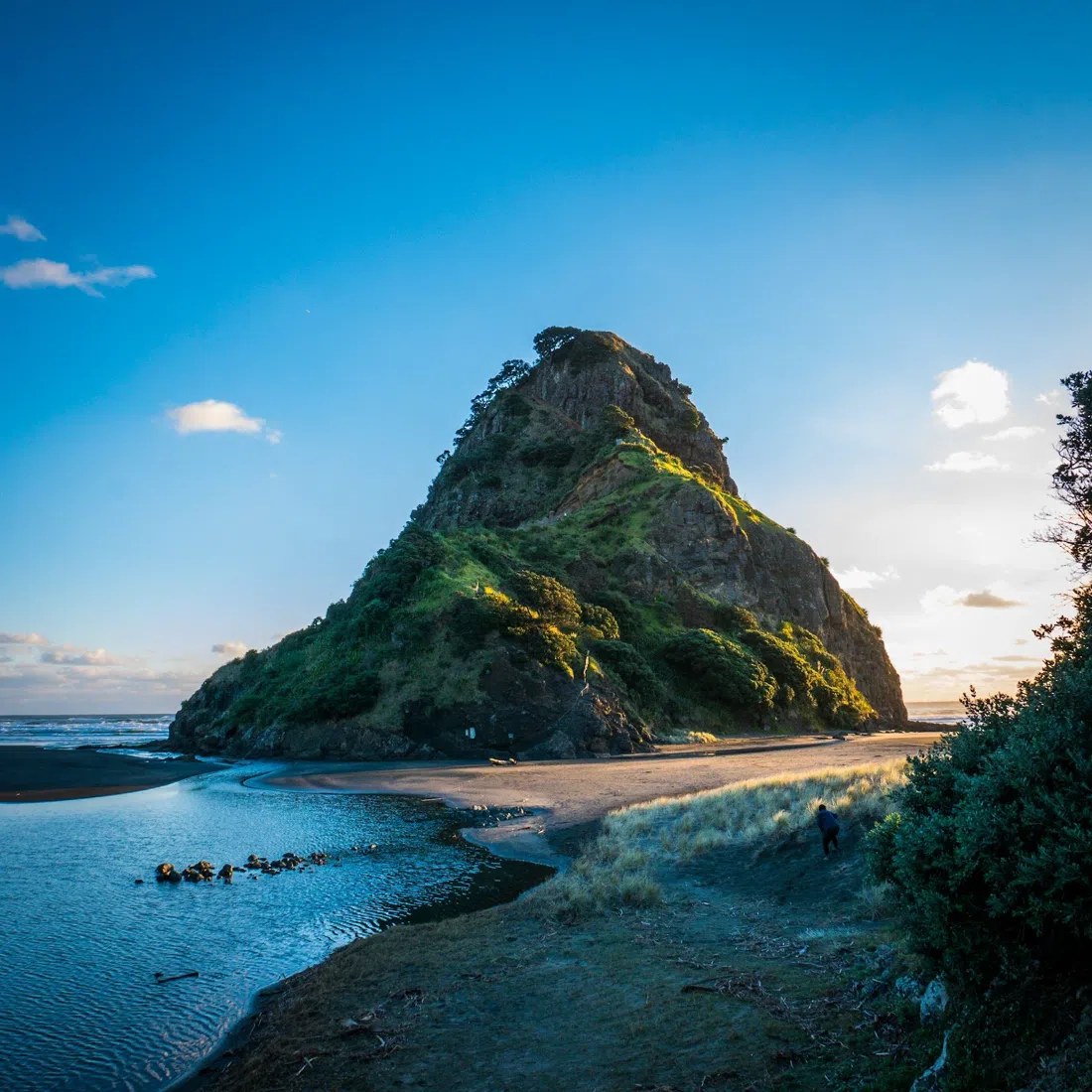 Piha Beach, Auckland