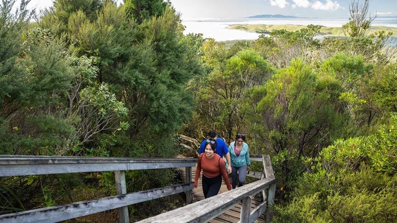 Rangitoto Island, Auckland