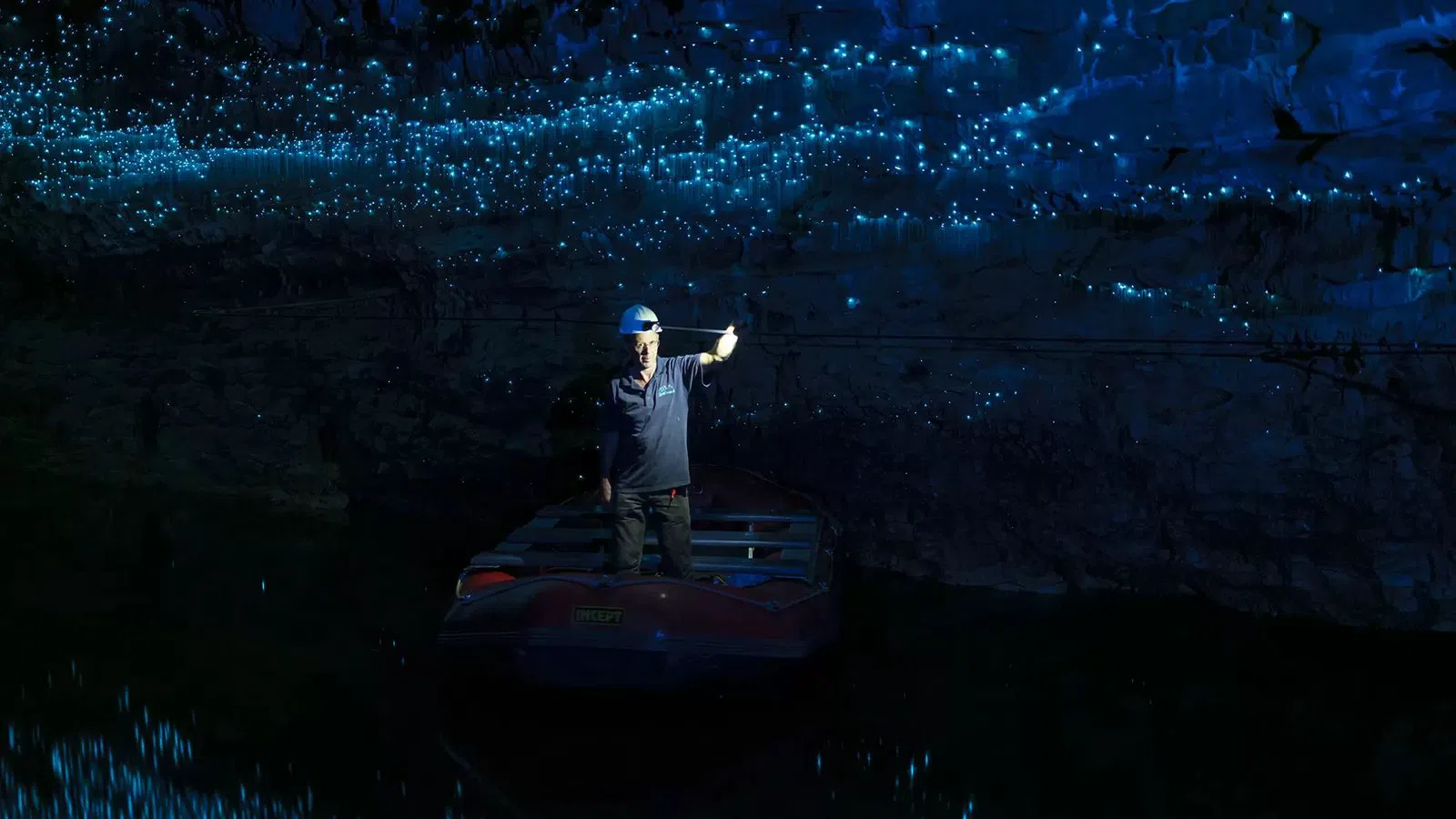 Spellbound Glowworm and Cave Tours, Auckland